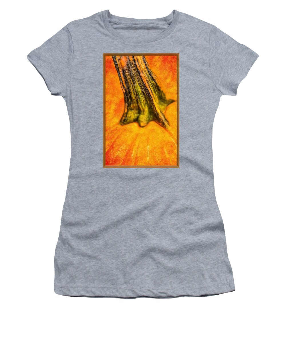 Pumpkin Women's T-Shirt featuring the painting Pumpkin Stalk by Juliette Becker