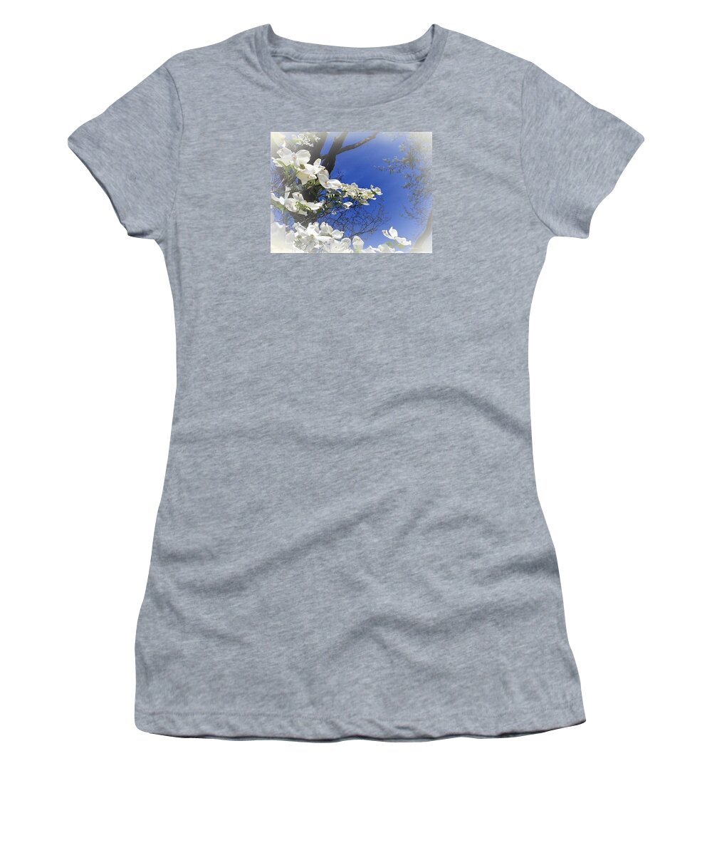 Dogwood Women's T-Shirt featuring the photograph Purity of Dogwood by Angela Davies