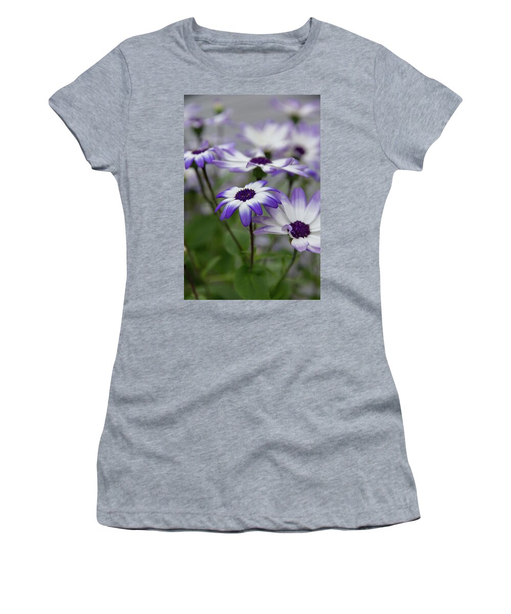 Flowers Women's T-Shirt featuring the photograph Purple Daisies by Denise Kopko