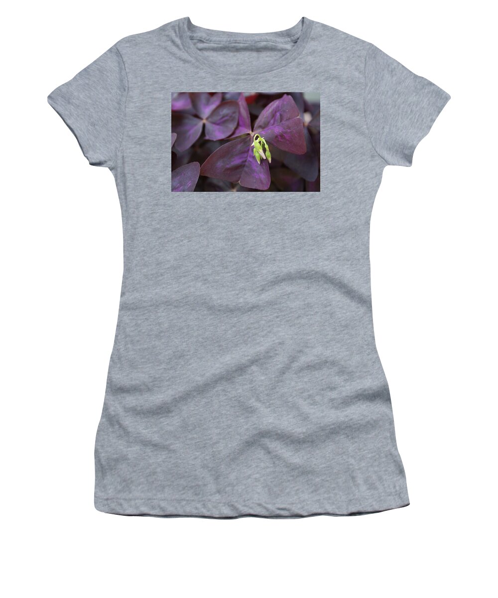  Women's T-Shirt featuring the photograph Purple Shamrock Buds by Heather E Harman