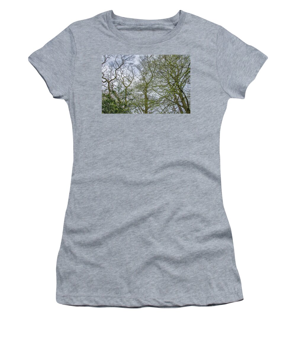 Queen's Wood Women's T-Shirt featuring the photograph Queen's Wood Trees Spring 1 by Edmund Peston
