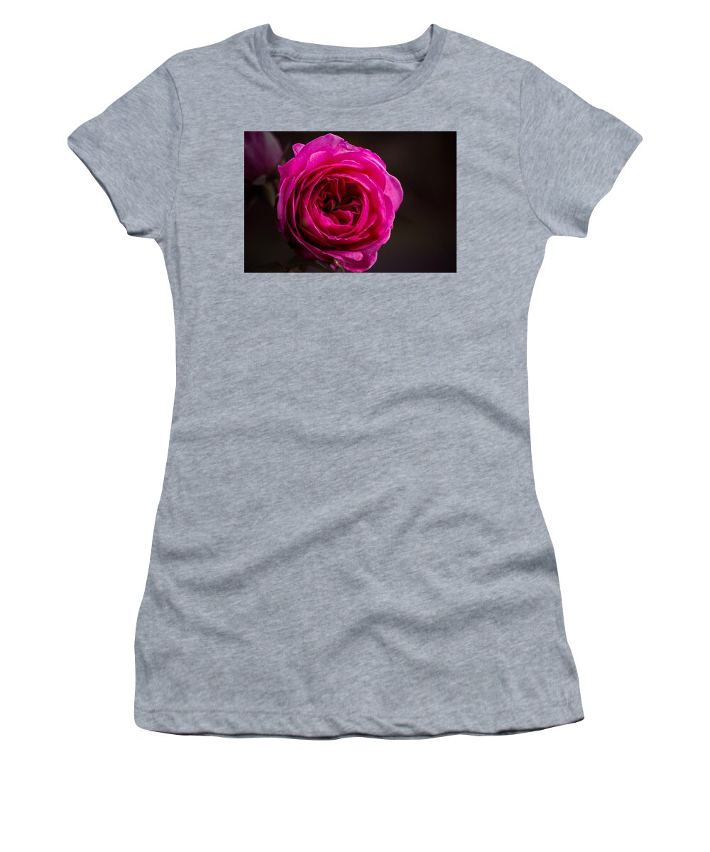 Rose Women's T-Shirt featuring the photograph Quiet Man Rose by Carrie Hannigan