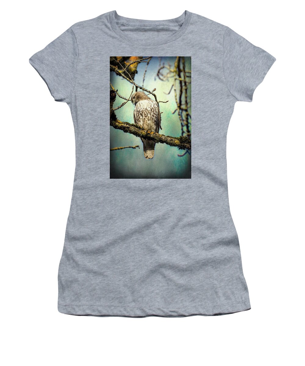 Red-tailed Hawk Women's T-Shirt featuring the photograph Quizzical Red-Tailed Hawk by Belinda Greb
