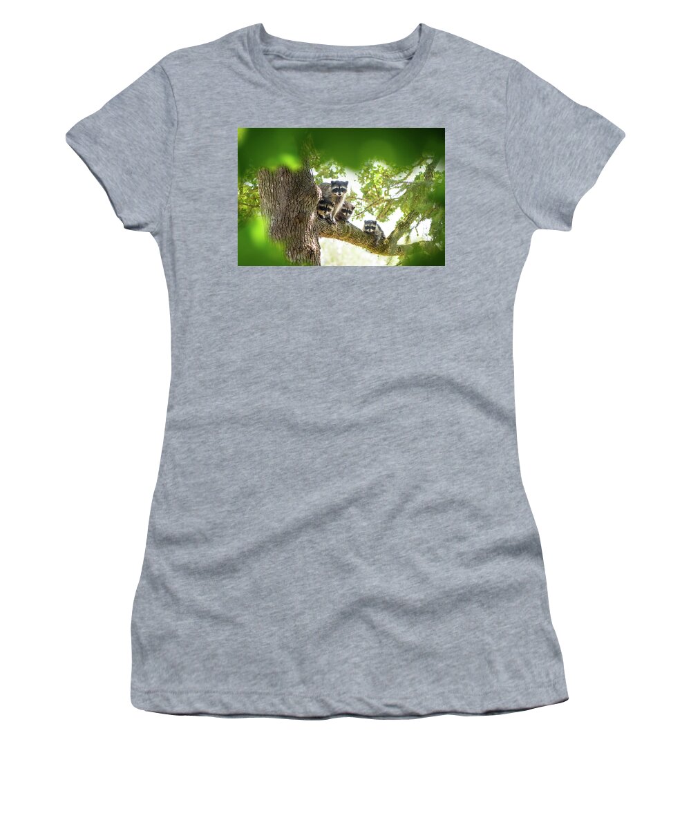 Raccoon Family Women's T-Shirt featuring the photograph Racoon Family by Naomi Maya