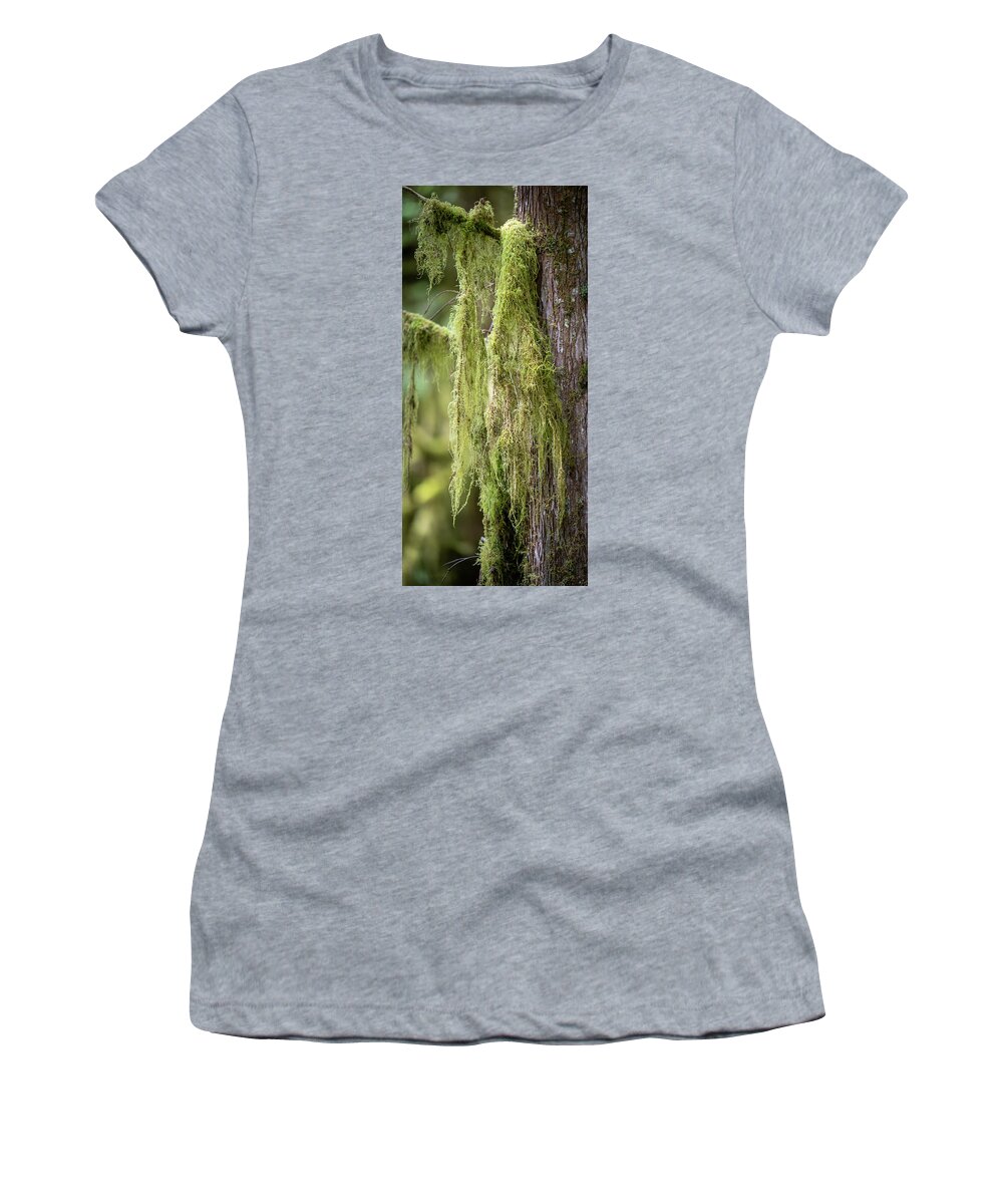 Tree Women's T-Shirt featuring the photograph Rainforest Scenery by Paul Freidlund