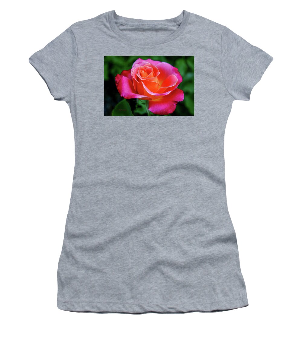 Rose Women's T-Shirt featuring the photograph Ravishing Rose by Dale R Carlson