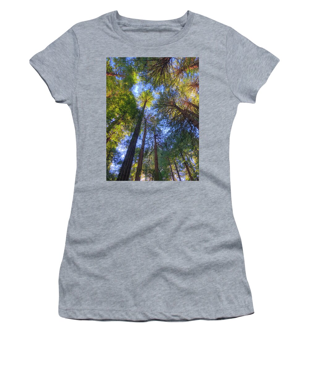 Trees Women's T-Shirt featuring the photograph Reaching to Infinity by Bonnie Follett