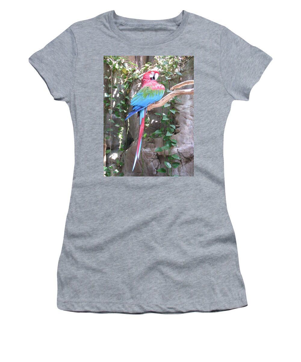 Taken At The Audubon Zoo In New Orleans Women's T-Shirt featuring the photograph Red and Green Macaw by Heather E Harman