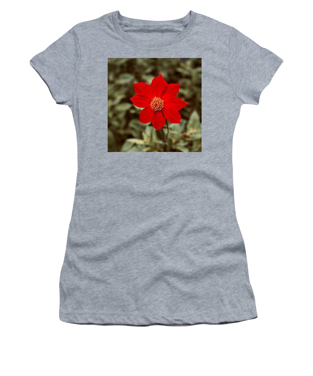 Red Women's T-Shirt featuring the photograph Red Dahlia by Jerry Abbott