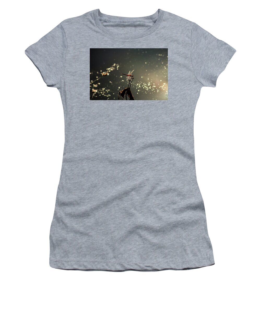 Insects Women's T-Shirt featuring the photograph Red Dragon by Marcus Jones