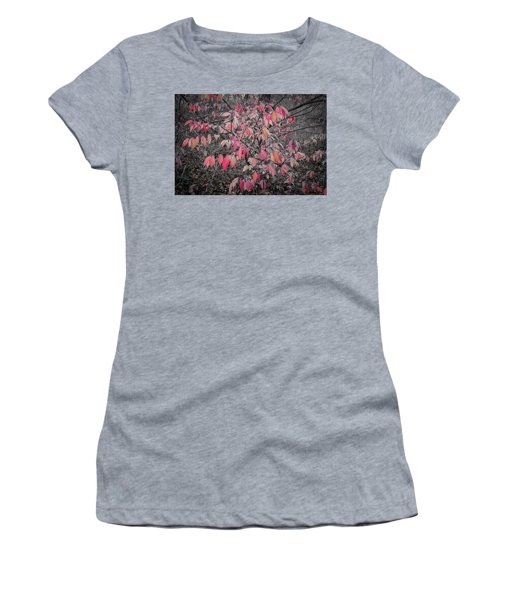 Red Leaves Woods Waukegan Illinois B&w Isolate Color Autumn Fall Women's T-Shirt featuring the photograph Red Leaves in the Woods - Waukegan, Illinois by David Morehead