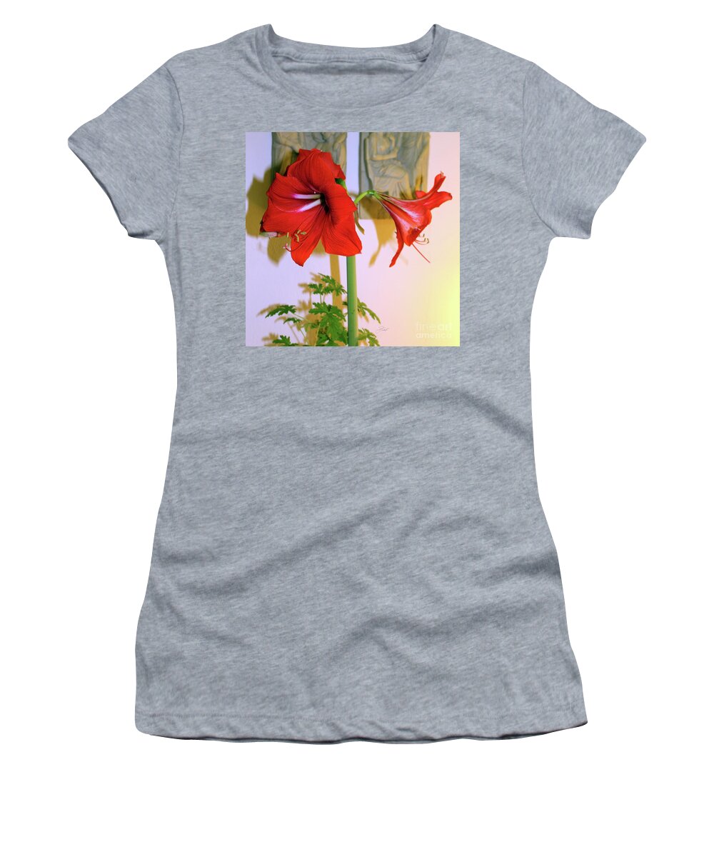 Red Lion Amaryllis Women's T-Shirt featuring the digital art Red Lion Amaryllis by Jerzy Czyz