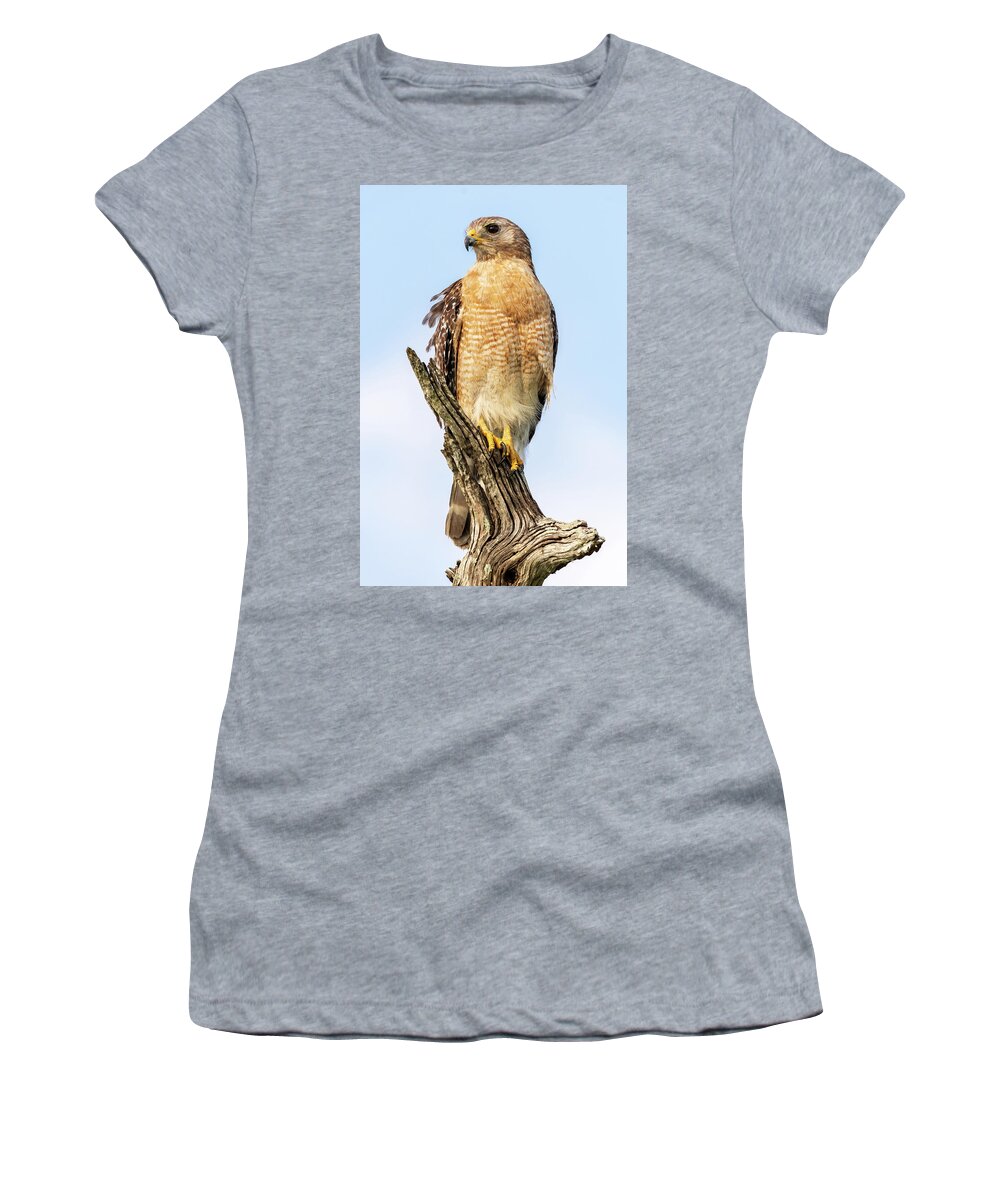  Women's T-Shirt featuring the photograph Red Shouldered Hawk by Jim Miller