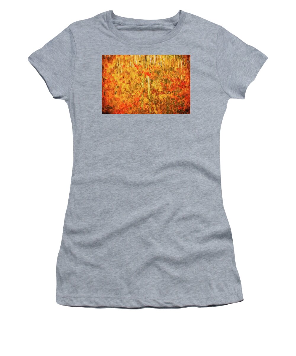 Abstract Women's T-Shirt featuring the photograph Reflections of Fall by Rick Furmanek