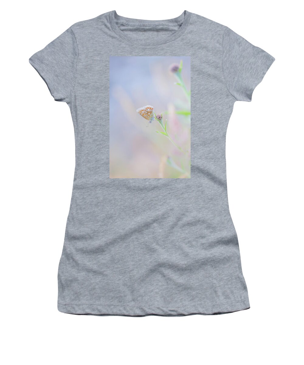 Butterfly Women's T-Shirt featuring the photograph Resting Common Blue Butterfly by Anita Nicholson