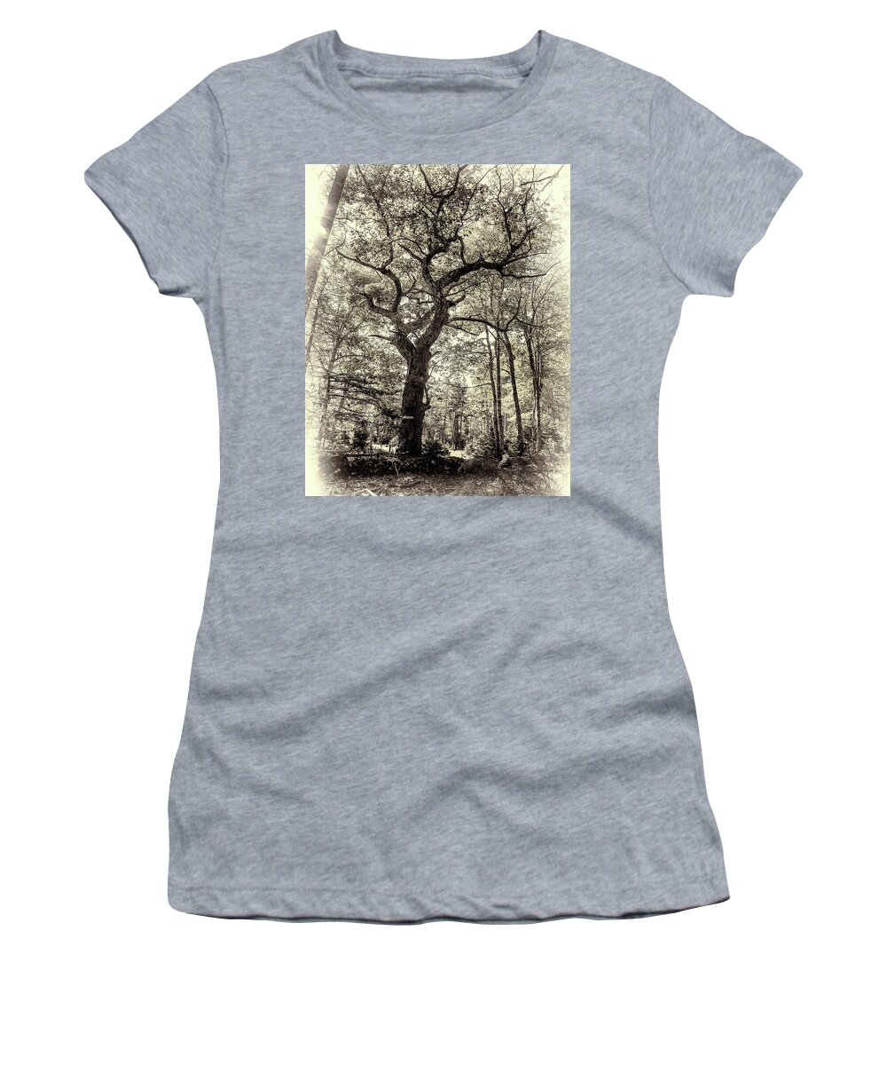  Oak Tree Women's T-Shirt featuring the photograph Rick's Oak Tree by Connie Publicover
