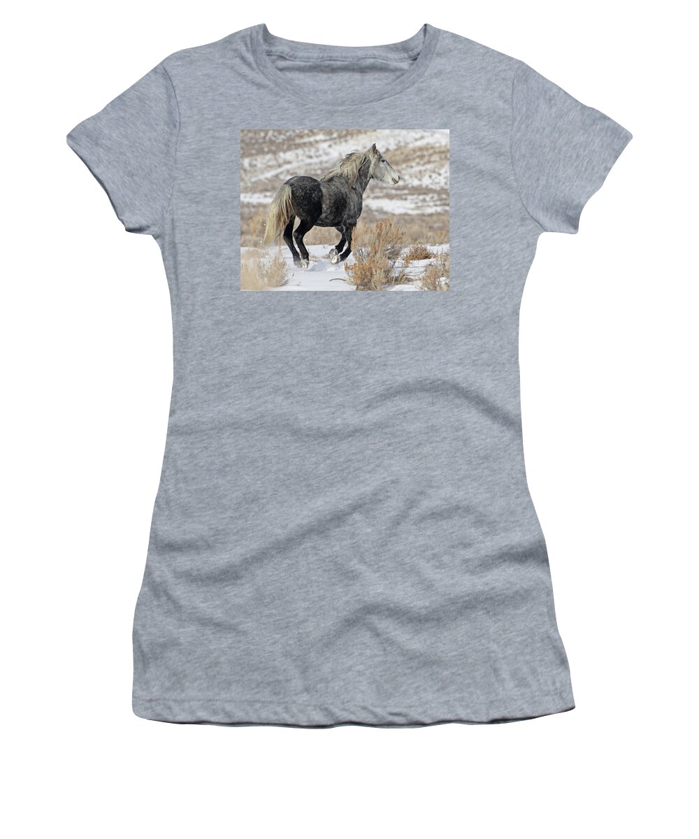 Wild Mustangs Women's T-Shirt featuring the photograph Rigel on the Run by Mindy Musick King