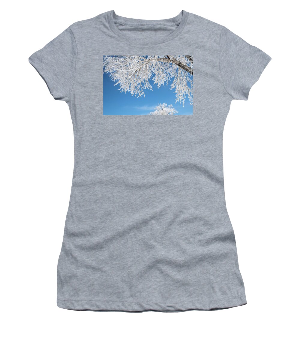 Jackson Women's T-Shirt featuring the photograph Rime Frost in the Tetons by Douglas Wielfaert