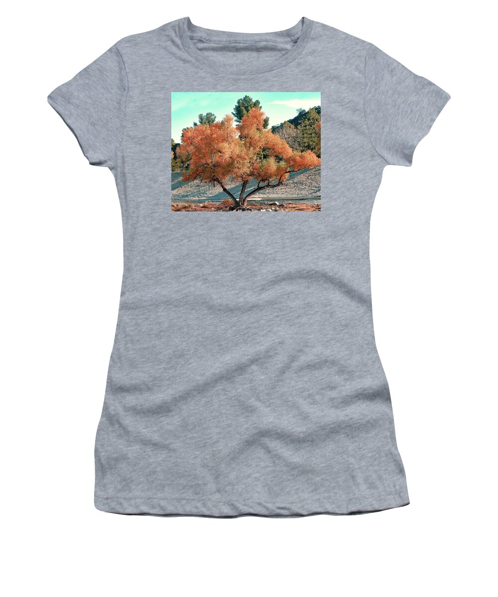 Tree Women's T-Shirt featuring the photograph River Island Tree by Andrew Lawrence