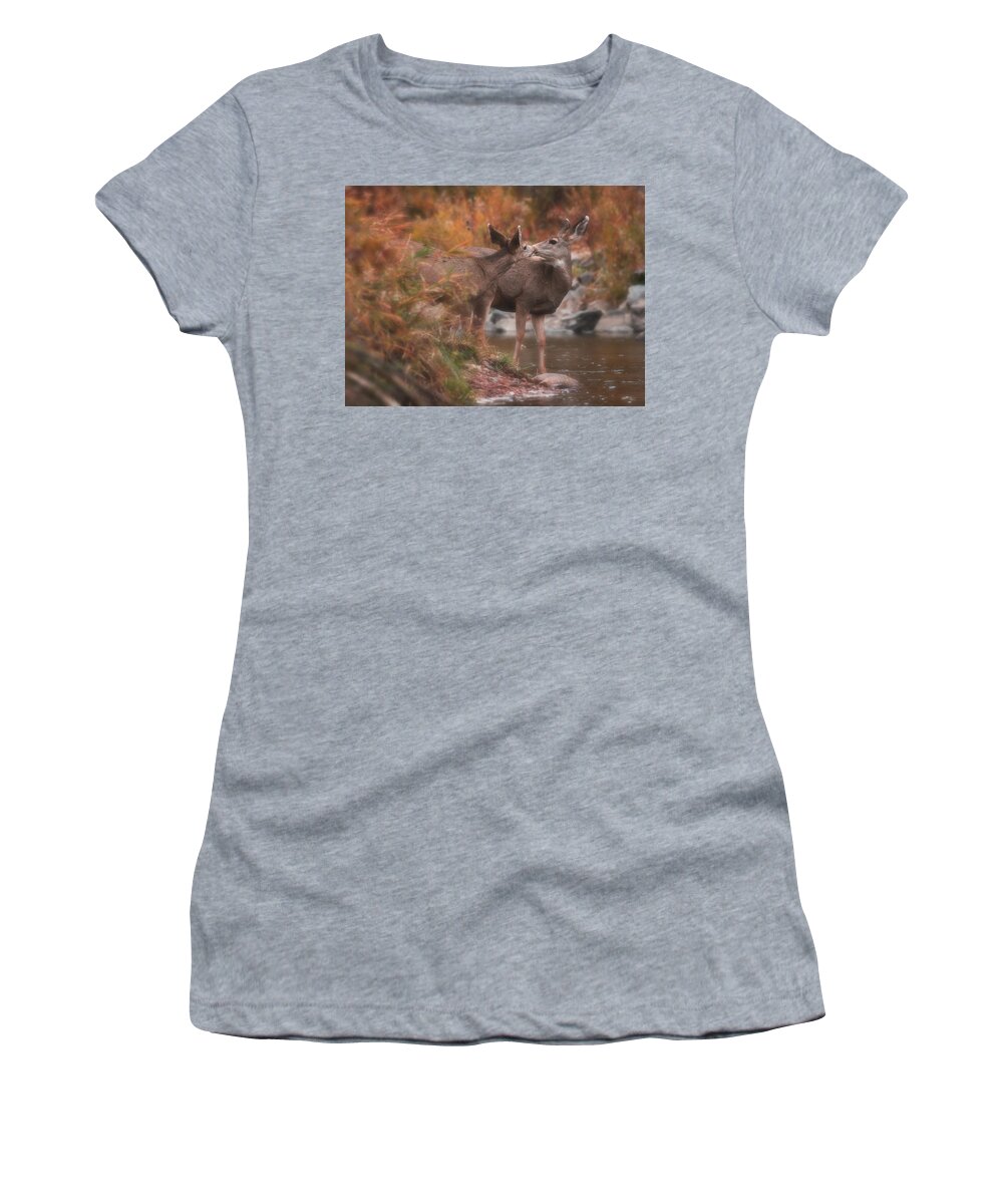 Deer Women's T-Shirt featuring the photograph Riverside Romance by Darren White
