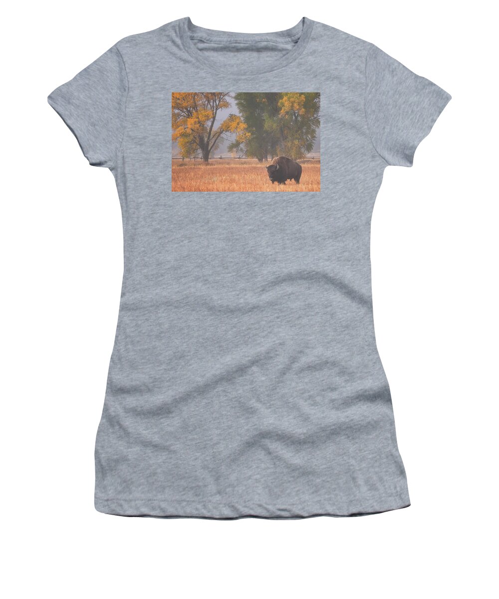 Bison Women's T-Shirt featuring the photograph Roaming Bison by Darren White