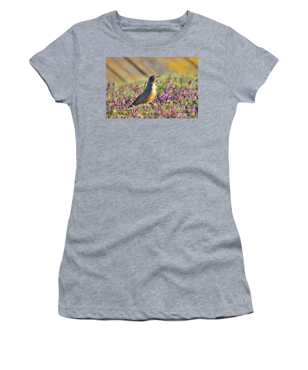 Robin Women's T-Shirt featuring the photograph Robin in a bed of purple flowers by Yvonne M Smith