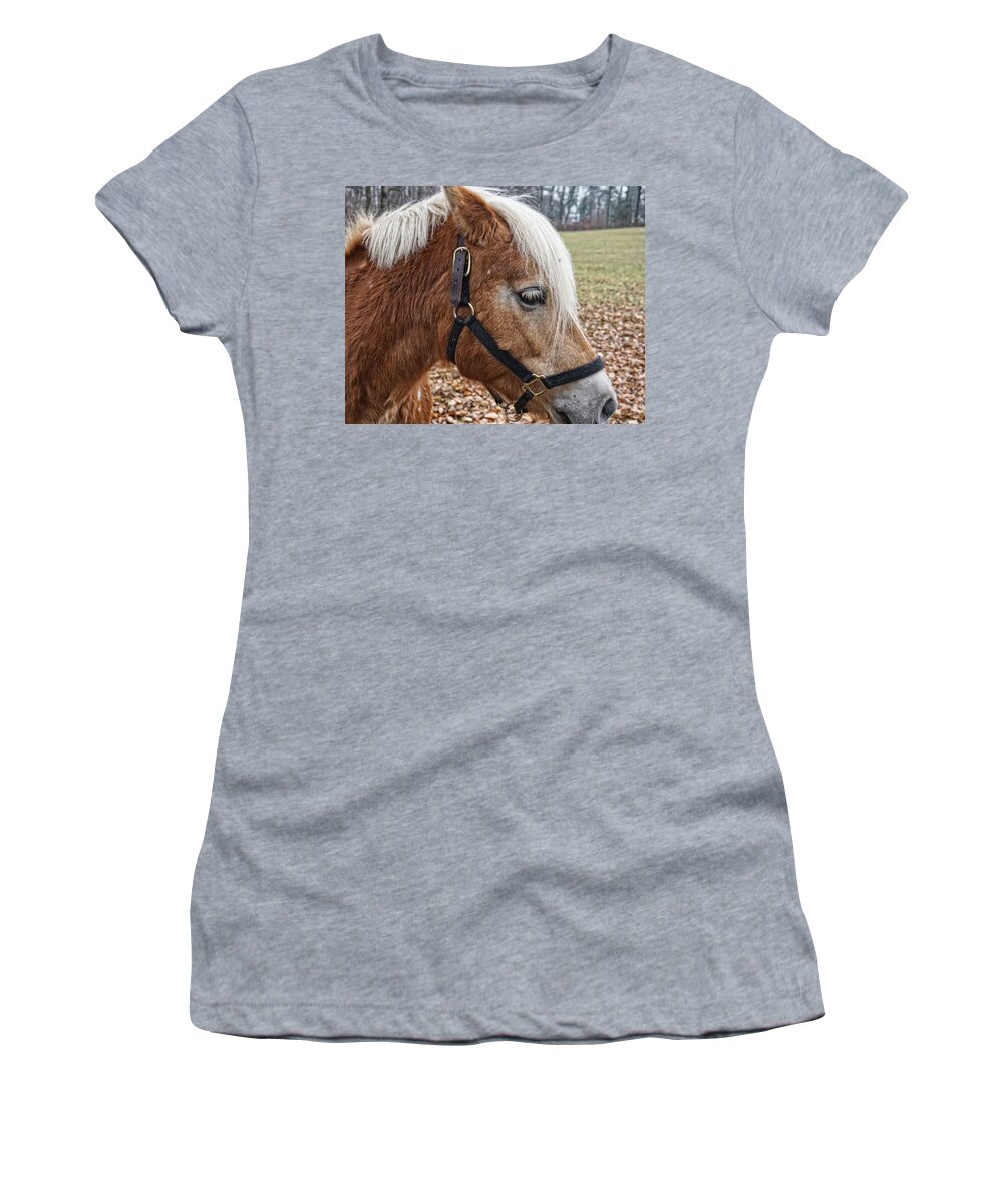 Horse Women's T-Shirt featuring the photograph Rockefeller Horse Blondie by Russel Considine