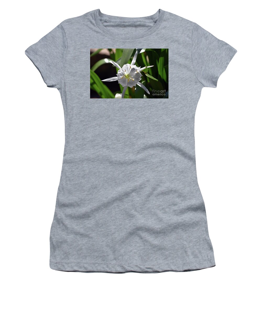 Pictures Of Flowers Women's T-Shirt featuring the photograph Rocky Shoal Spider Lily 3 by Skip Willits