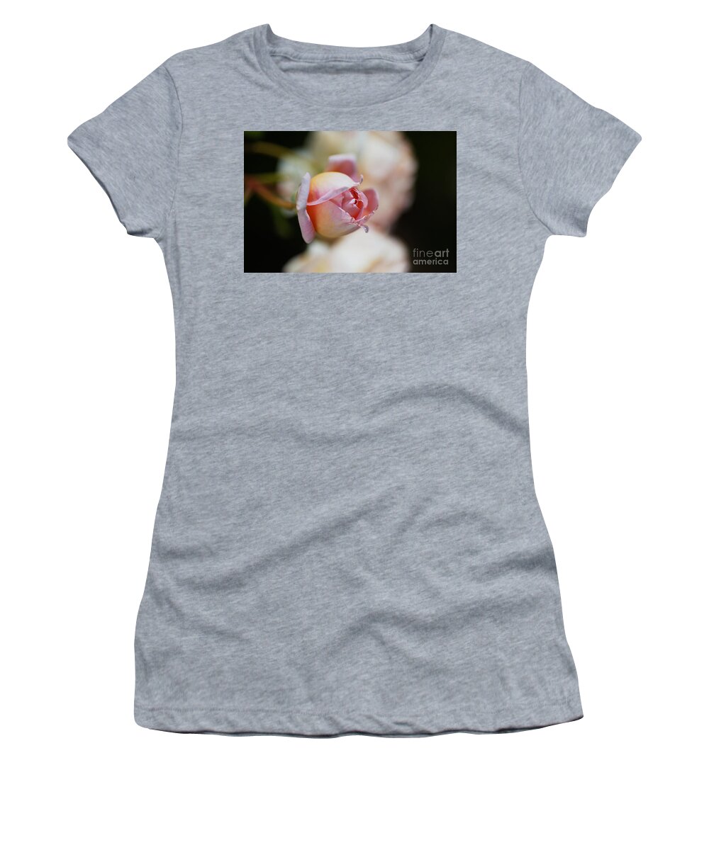 Abraham Darby Rose Flower Women's T-Shirt featuring the photograph Rose Bud Abraham Darby Bloom by Joy Watson