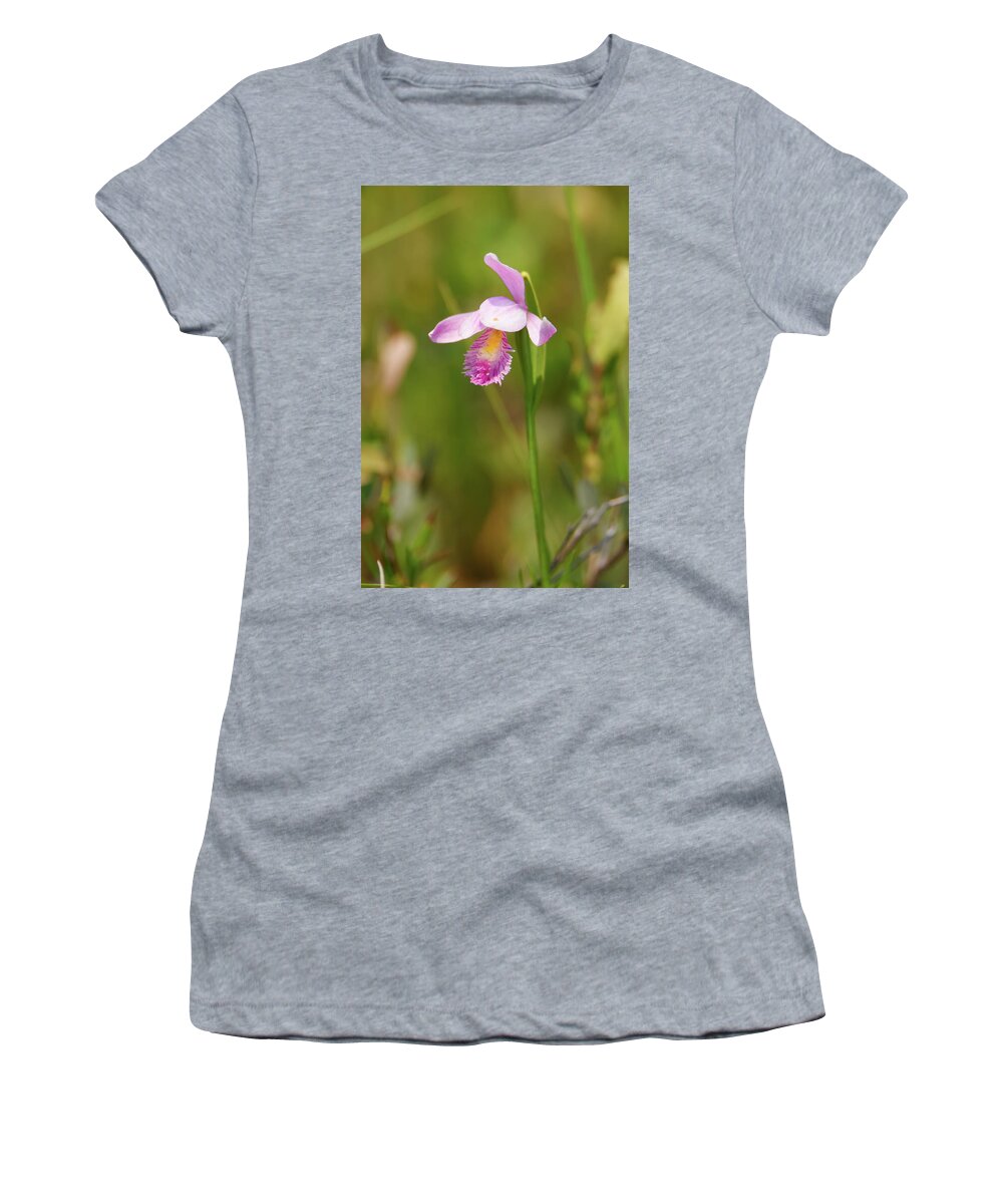 Rose Pagonia Women's T-Shirt featuring the photograph Rose Pagonia by Brook Burling