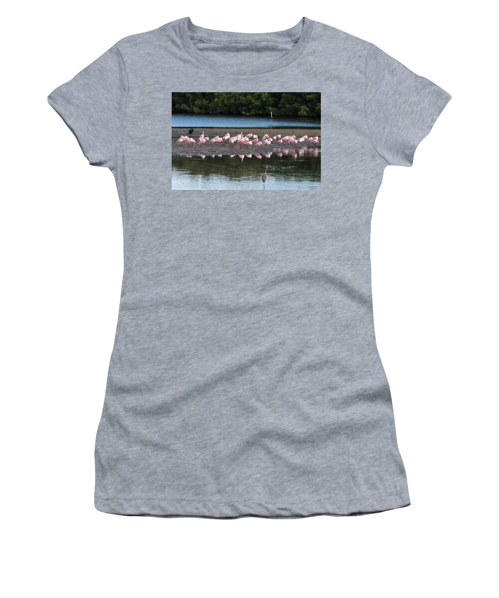 Roseate Spoonbill Women's T-Shirt featuring the photograph Roseate Spoonbills Gather Together 7 by Mingming Jiang