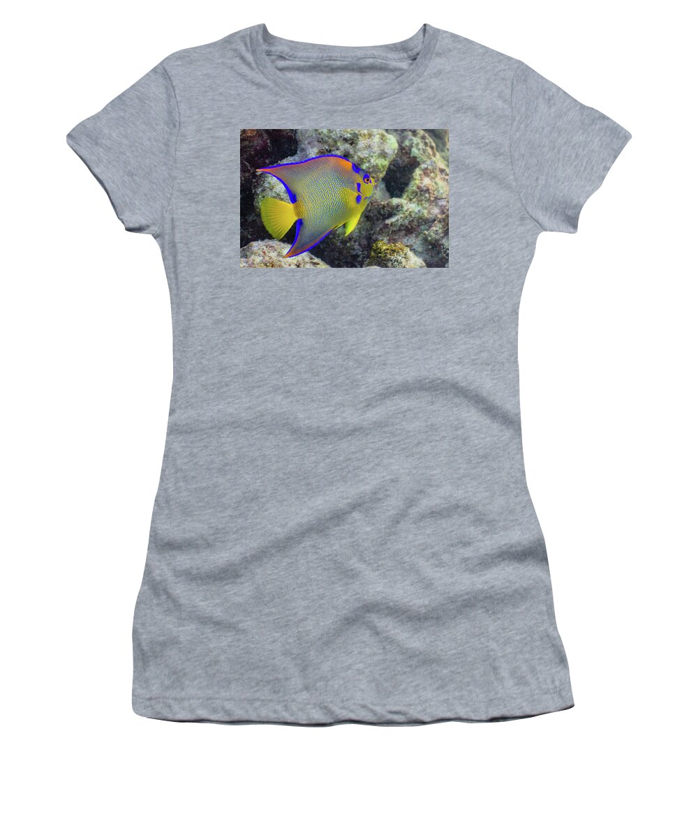 Fish Women's T-Shirt featuring the photograph Royalty by Lynne Browne