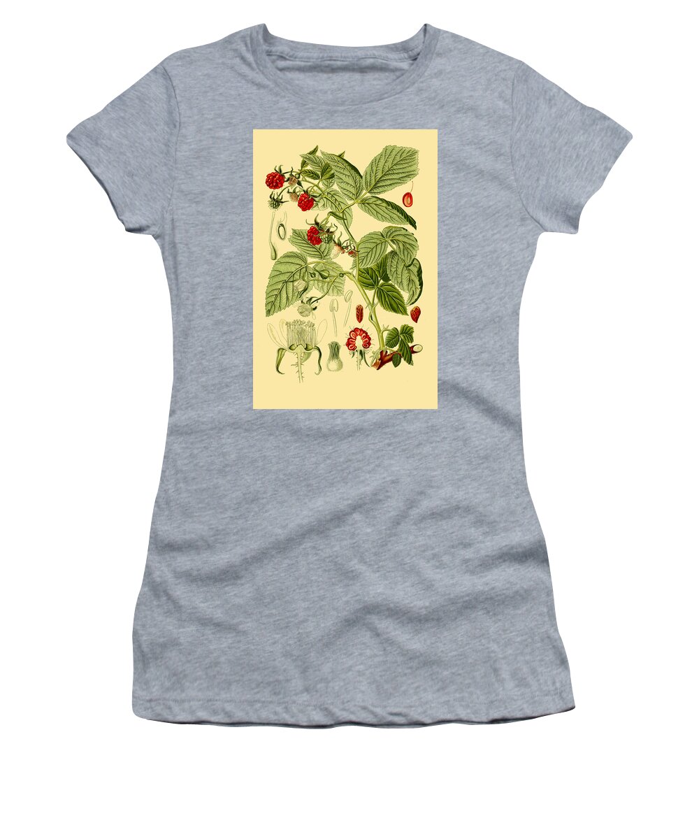 Otto Wilhelm Thome Women's T-Shirt featuring the drawing Rubus idaeus by Otto Wilhelm Thome