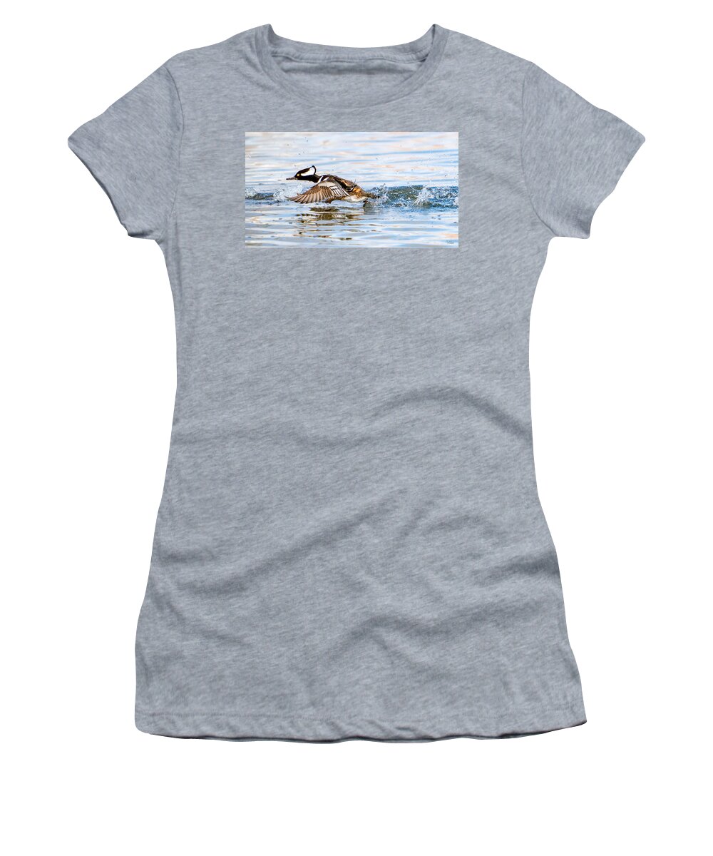 Hooded Mergansers Women's T-Shirt featuring the photograph Running take off -- Hooded Merganser by Judi Dressler