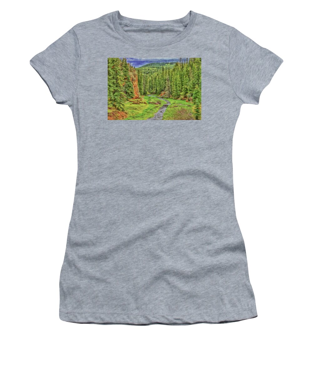 Nature Women's T-Shirt featuring the photograph Runoff Through the Rocks-Digital Art by Steve Templeton