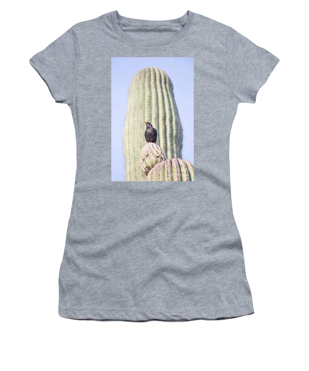 Saguaro Women's T-Shirt featuring the photograph Saguaro Starling by Elisabeth Lucas