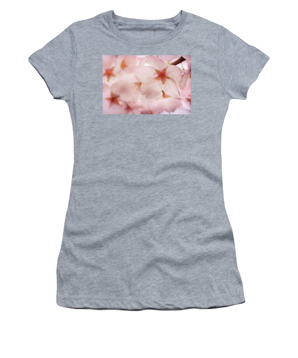 Cherry Blossoms Women's T-Shirt featuring the photograph Sakura by Susan Rissi Tregoning