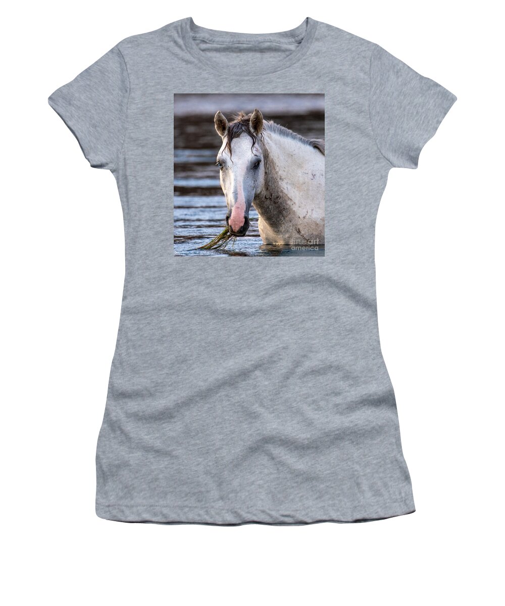 Salt River Wild Horse Rascal Women's T-Shirt featuring the digital art Salt River Wild Horse Rascal by Tammy Keyes
