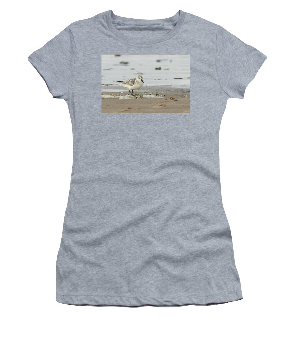 Flyladyphotographybywendycooper Women's T-Shirt featuring the photograph Sanderling by Wendy Cooper