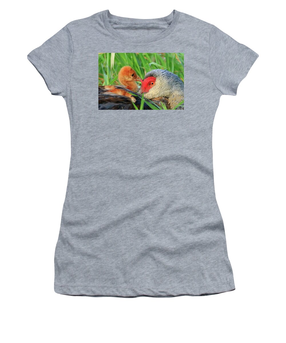 Sandhill Cranes Women's T-Shirt featuring the photograph Sandhill Crane Colt Playing with the Red Skin on Mom's Head by Shixing Wen