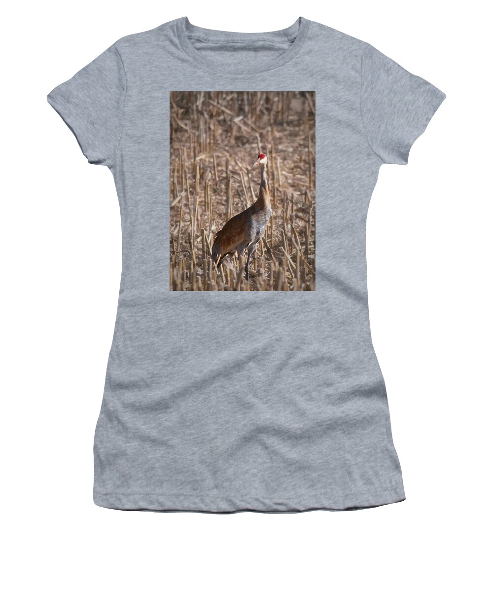 Bird Women's T-Shirt featuring the photograph Sandhill Crane, Madison, Wisconsin by Steven Ralser
