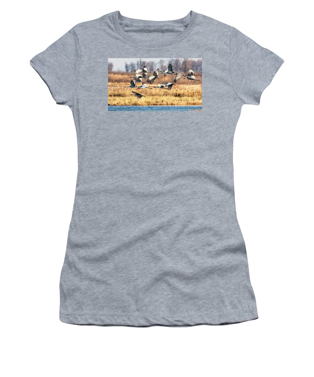 Sandhill Women's T-Shirt featuring the photograph Sandhill Cranes by Al Mueller