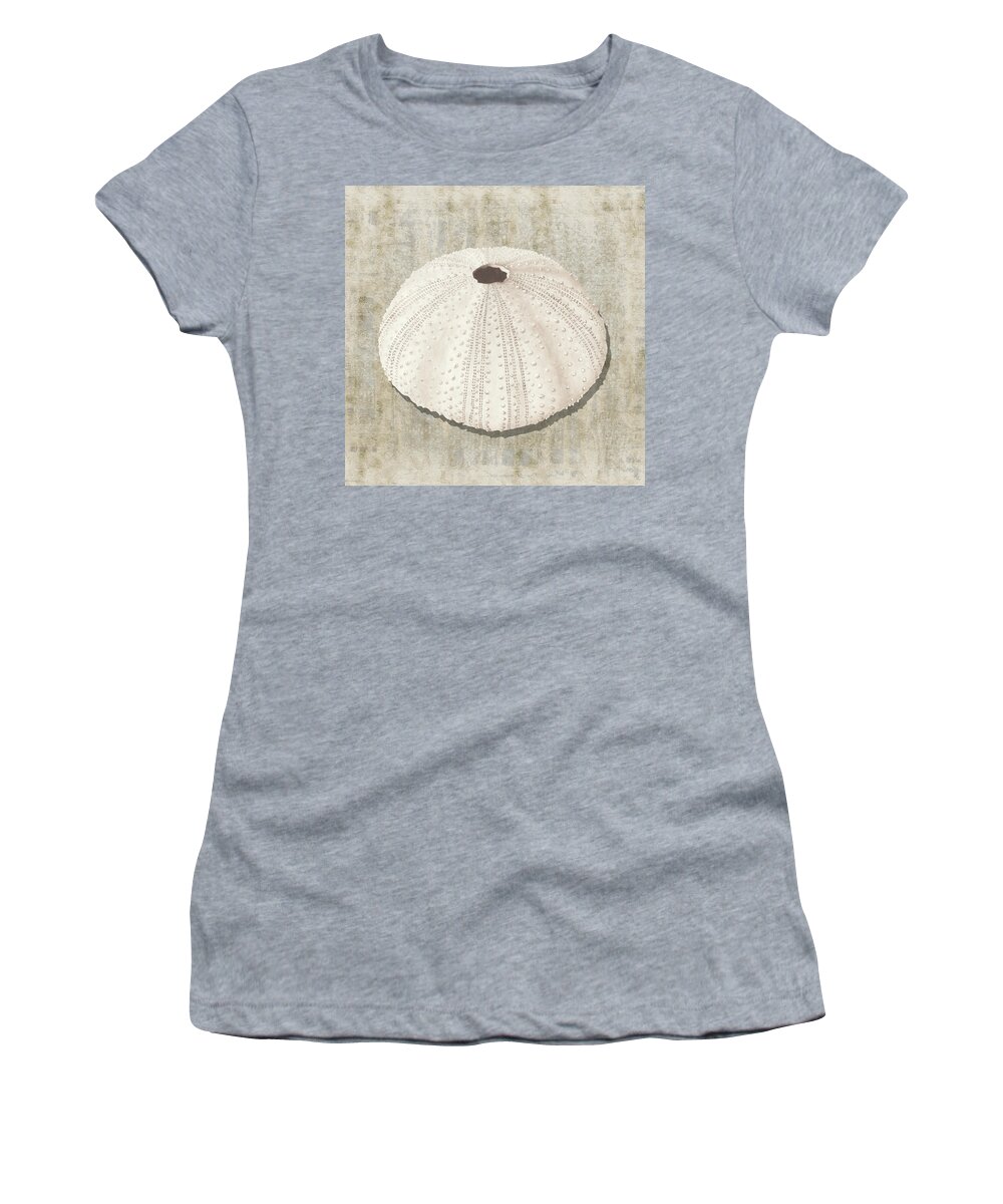 Shell Women's T-Shirt featuring the painting Sea Urchin II with gold distressed background by Nikita Coulombe