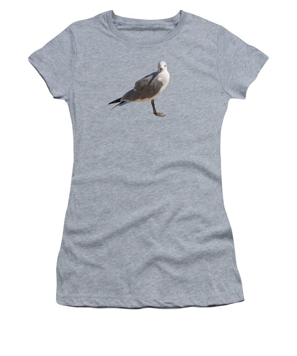 Seagull Women's T-Shirt featuring the photograph Seagull by Zina Stromberg