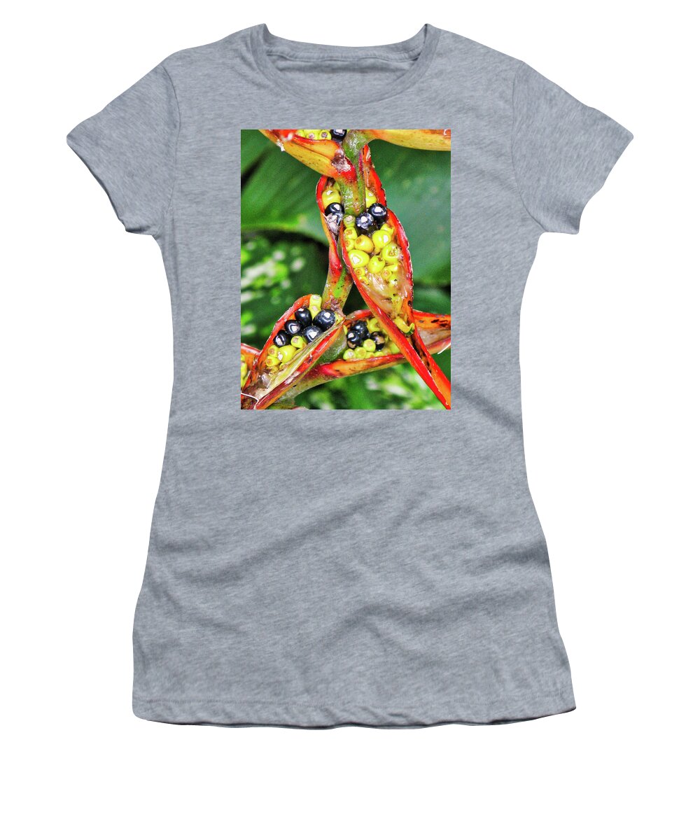Flora Women's T-Shirt featuring the photograph Seed pods by Segura Shaw Photography