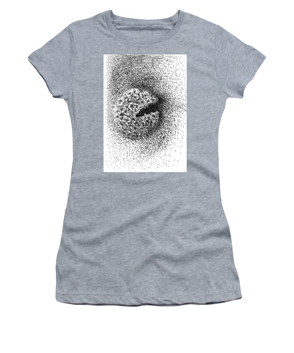 Seed Women's T-Shirt featuring the drawing Seedpod Too by Franci Hepburn