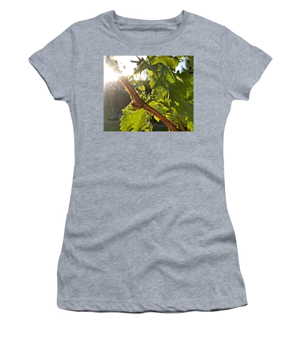 Grape Women's T-Shirt featuring the photograph Seen It Through The Grape Vine by Brent Knippel