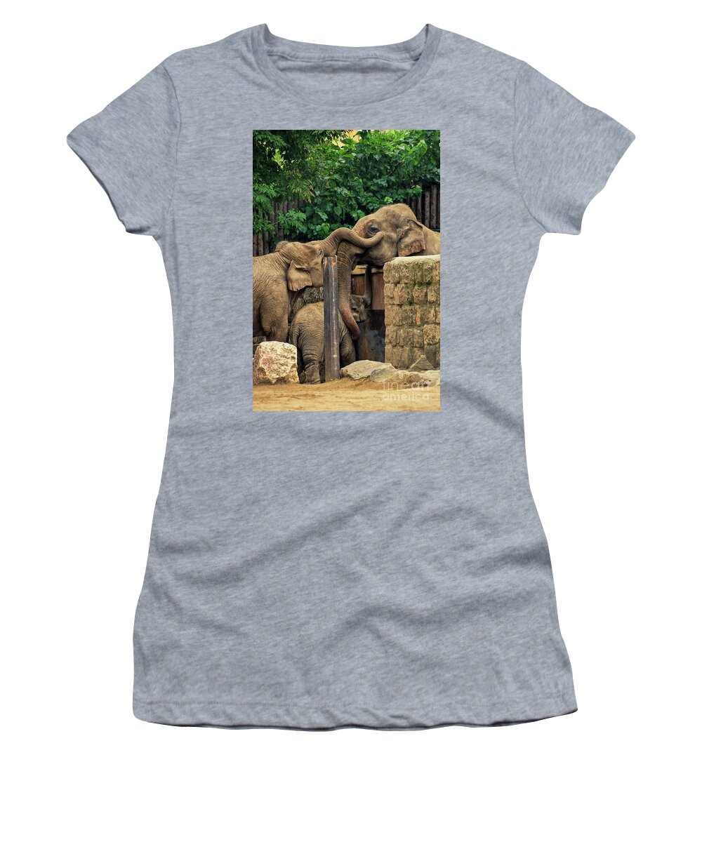 Elephants Women's T-Shirt featuring the photograph Separated family of elephants hugging each other by Mendelex Photography