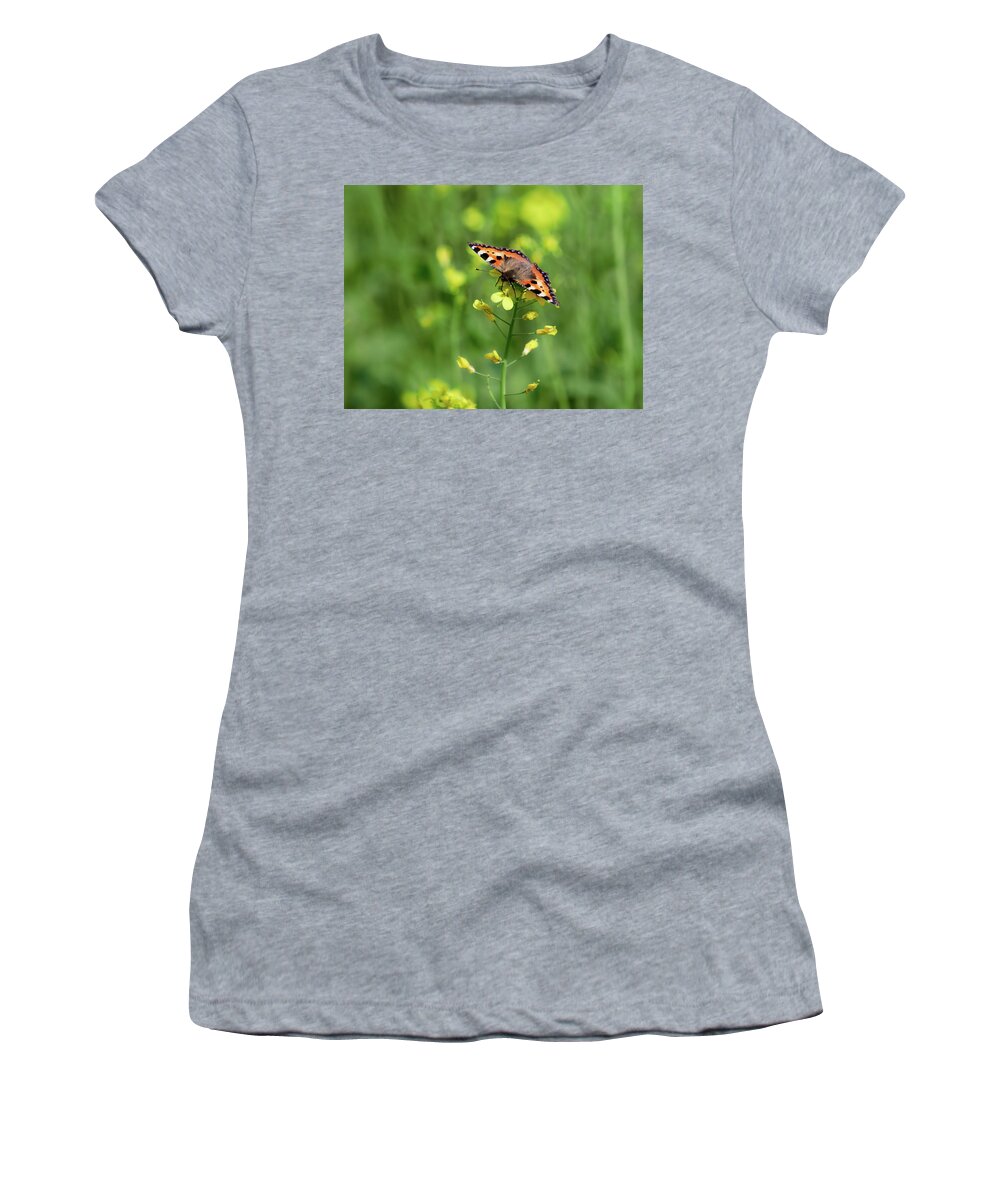 Aglais Urticae Women's T-Shirt featuring the photograph Service of the nature. Small tortoiseshell by Jouko Lehto