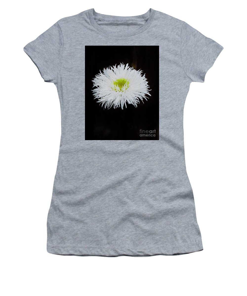 Daisies Women's T-Shirt featuring the photograph Shasta Daisy by Jimmy Chuck Smith